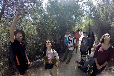 Active Day Tour One-Way From Launceston To Hobart Via Wineglass Bay - Accommodation Tasmania 0