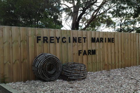 Active Day Tour One-Way From Launceston To Hobart Via Wineglass Bay - Accommodation Tasmania 3