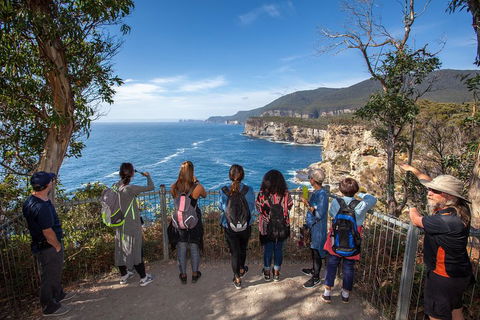 Historic Port Arthur Day Trip From Hobart Including Cliff-Top Walk To Waterfall Bay - Accommodation Tasmania 0