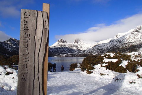 Cradle Mountain Active Day Trip From Launceston - Accommodation Tasmania 3