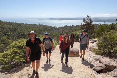 3-Day Tasmania Combo: Launceston To Hobart Active Tour Including Cradle Mountain, Freycinet National Park And Port Arthur - Accommodation Tasmania 5