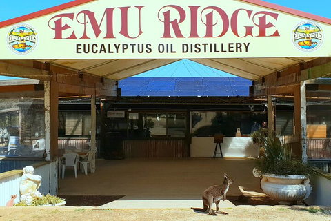 2-Day Kangaroo Island Safari From Adelaide - Accommodation Tasmania 4