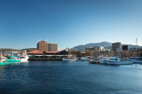 Hobart City Sightseeing Tour Including MONA Admission - Accommodation Tasmania 0