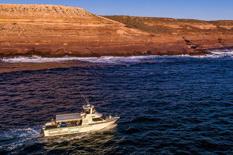 Kalbarri Sunset Coastal Cliff Cruise - Accommodation Tasmania 4