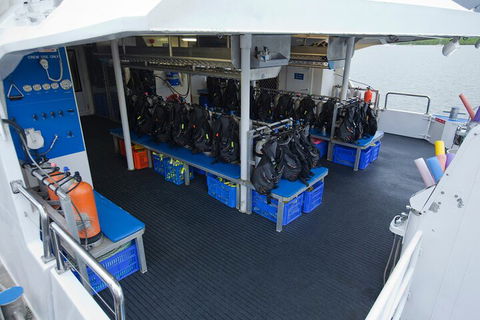 Silverswift Outer Great Barrier Reef Dive And Snorkel Cruise From Cairns - Accommodation Tasmania 0