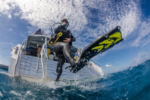 Silverswift Outer Great Barrier Reef Dive And Snorkel Cruise From Cairns - Accommodation Tasmania 1