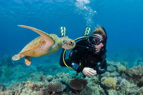 Silverswift Outer Great Barrier Reef Dive And Snorkel Cruise From Cairns - Accommodation Tasmania 2