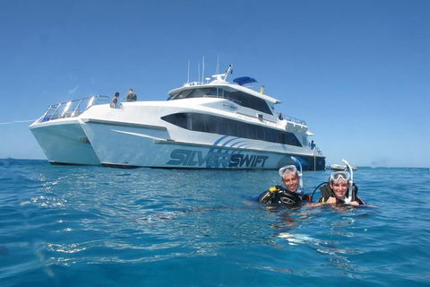 Silverswift Outer Great Barrier Reef Dive And Snorkel Cruise From Cairns - Accommodation Tasmania 4