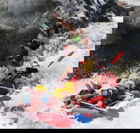 Barron Gorge National Park Half-Day White Water Rafting from Cairns or Port Douglas - Accommodation Tasmania