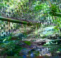 Double Pack-Ancient Rainforest and Waterfalls - Accommodation Tasmania