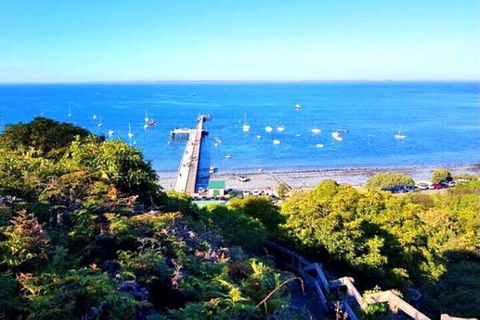Mornington Peninsula Sightseeing Tour For 2-6 Guests. - Accommodation Tasmania 1