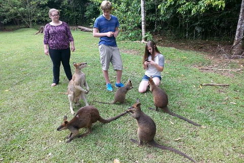 Small Group Blue Mountains Day Tour From Sydney - Accommodation Tasmania 2