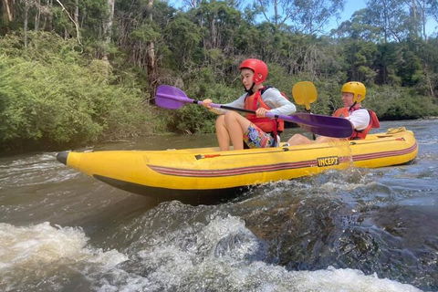 Yarra River Half-Day Rafting Experience - Accommodation Tasmania 1