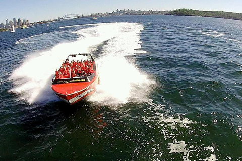 Sydney Harbour Jet Boat Thrill Ride: 30 Minutes - Accommodation Tasmania 0