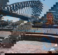 Sydney Private Tours by Locals 100 Personalized See the City Unscripted - Accommodation Tasmania