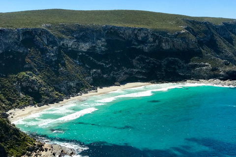 Kangaroo Island Scenic Trail Tour - Accommodation Tasmania 4