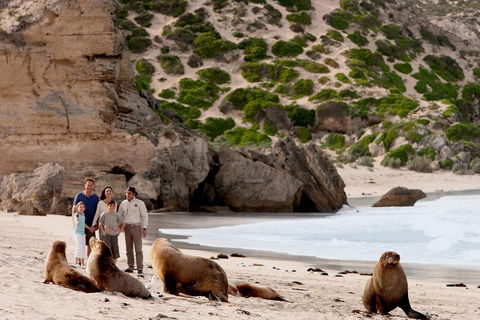 Kangaroo Island Scenic Trail Tour - Accommodation Tasmania 5