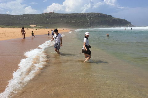 Small-Group Sydney's Northern Beaches And Ku-ring-gai National Park Bus Tour - Accommodation Tasmania 5