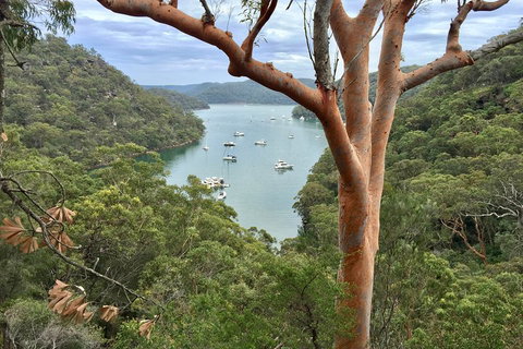 Shore Excursion: Sydney's Northern Beaches & Ku-ring-gai National Park Bus Tour - Accommodation Tasmania 1
