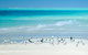 Private Coral Cay Bubbles Tour - thumb 2