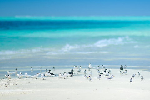 Private Coral Cay Bubbles Tour - Accommodation Tasmania 2