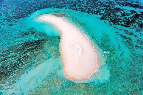 Private Coral Cay Bubbles Tour - Accommodation Tasmania 3