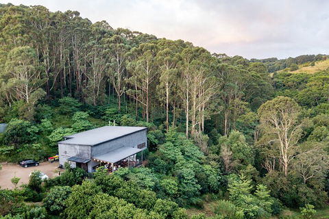 Full-Day Tour To Byron Bay Best Food And Drink Spots - Accommodation Tasmania 3