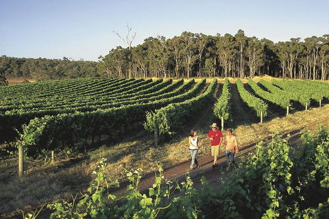 Margaret River, Caves, Wine And Cape Leeuwin Lighthouse Tour From Perth - Accommodation Tasmania 1