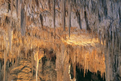 Margaret River, Caves, Wine And Cape Leeuwin Lighthouse Tour From Perth - Accommodation Tasmania 3