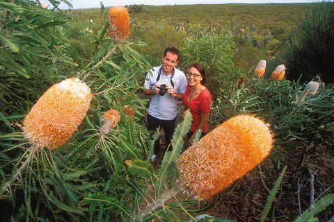 Best Of Perth Wildflower Season Day Trip - Accommodation Tasmania 0