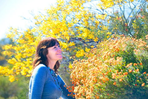Best Of Perth Wildflower Season Day Trip - Accommodation Tasmania 2