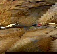 2-Day Wave Rock York Wildflowers  Aboriginal Experience - Accommodation Tasmania