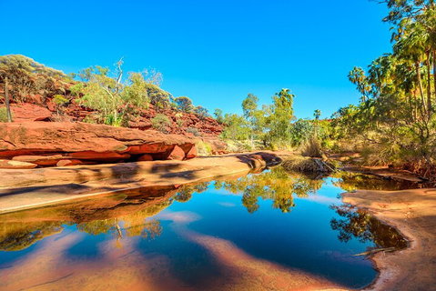 7-Day Guided Tour Of Alice Springs With Accommodation Included - Accommodation Tasmania 1