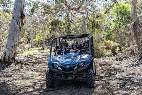 Small-Group Buggy Tour At Little Sahara With Guide - Accommodation Tasmania 0