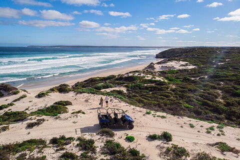 Small-Group Buggy Tour At Little Sahara With Guide - Accommodation Tasmania 1