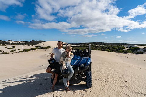 Small-Group Buggy Tour At Little Sahara With Guide - Accommodation Tasmania 2