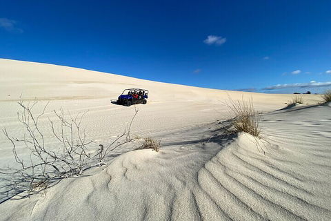 Small-Group Buggy Tour At Little Sahara With Guide - Accommodation Tasmania 3