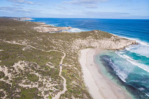 Small-Group Buggy Tour At Little Sahara With Guide - Accommodation Tasmania 4