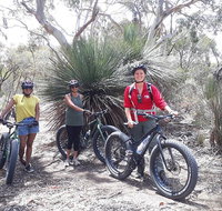 2 Hour Bike Tour in Kangaroo Island - Accommodation Tasmania