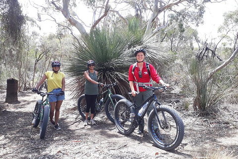 2 Hour Bike Tour In Kangaroo Island - Accommodation Tasmania 0