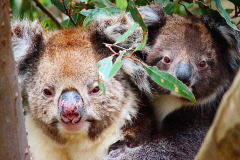 2 Hour Bike Tour In Kangaroo Island - Accommodation Tasmania 5