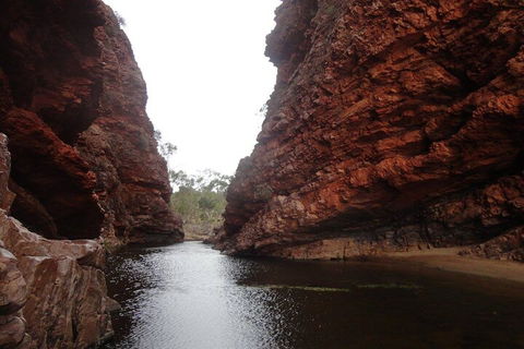 West MacDonnell Ranges Half - Day Tour - Accommodation Tasmania 4