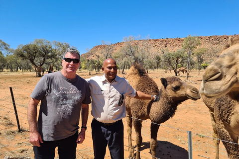 West MacDonnell Ranges Half-Day Small-Group Tour With Camel Ride - Accommodation Tasmania 1