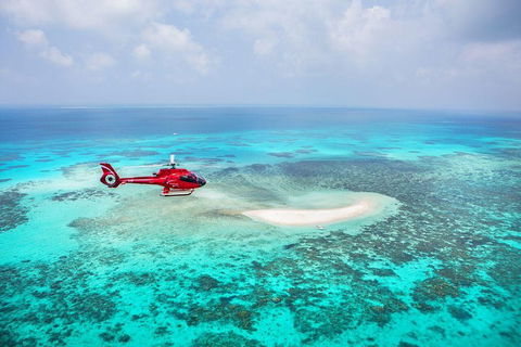 Private Helicopter Tour: Reef Island Snorkeling And Gourmet Picnic Lunch - Accommodation Tasmania 5