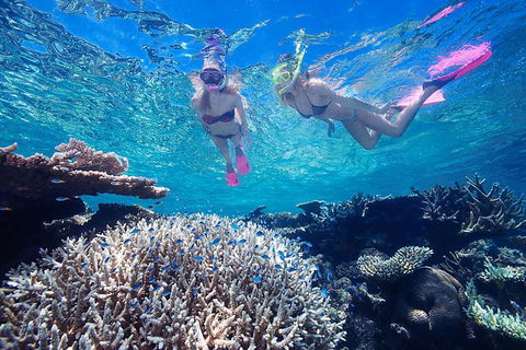 Great Barrier Reef Scenic Helicopter Tour And Cruise From Cairns - Accommodation Tasmania 3