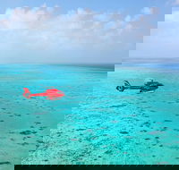 Port Douglas Scenic Flights - Accommodation Tasmania