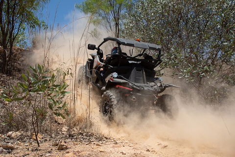 License To Thrill: 1.5 Hour Off-road Tour In Darwin (1 Person: 2 Seater Vehicle) - Accommodation Tasmania 3