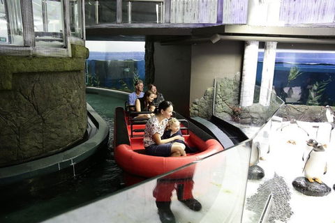 Sydney Attractions Pass: SEA LIFE Aquarium, Sydney Tower Eye, WILD LIFE Zoo And Madame Tussauds - Accommodation Tasmania 0