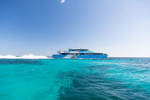Fremantle To Rottnest Island Roundtrip Ferry Ticket - Accommodation Tasmania 0