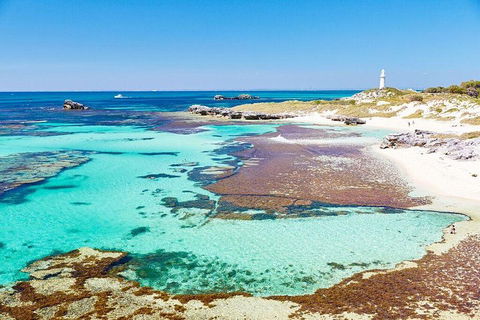 Rottnest Island All-Inclusive Grand Island Tour From Fremantle - Accommodation Tasmania 1